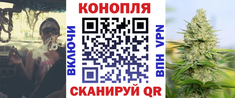 blacksprut как зайти  Петровск  Каннабис тримм  наркота 